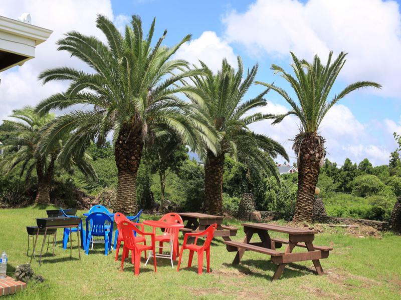 Dream & Green Pension Yerye-dong المظهر الخارجي الصورة